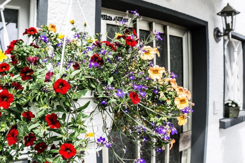 Schoenes Haus Mit Grossem Garten Seligenstadt Eksteriør billede