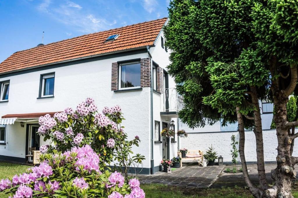 Schoenes Haus Mit Grossem Garten Seligenstadt Eksteriør billede