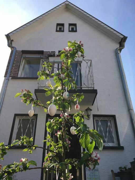 Schoenes Haus Mit Grossem Garten Seligenstadt Eksteriør billede